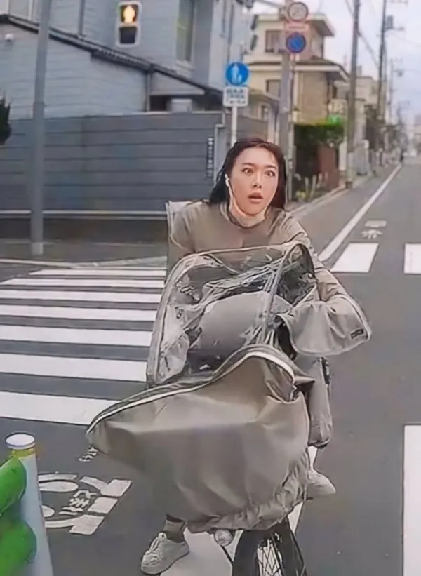 ママチャリ逆走おばさんの顔